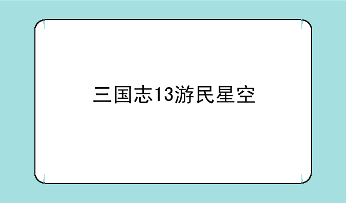 三国志13游民星空