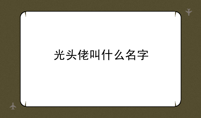 光头佬叫什么名字