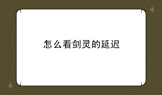 怎么看剑灵的延迟