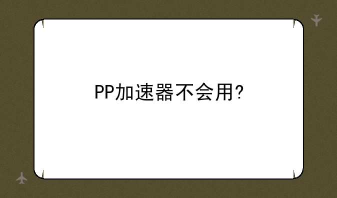 PP加速器不会用?