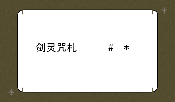 剑灵咒术师加点