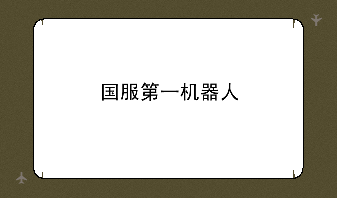 国服第一机器人