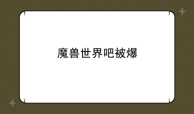 魔兽世界吧被爆