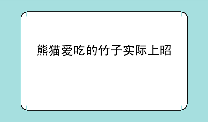 熊猫爱吃的竹子实际上是什么
