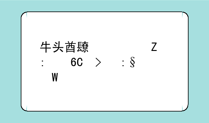 牛头酋长符文推荐及玩法详解