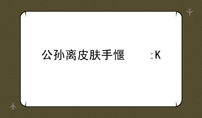 公孙离皮肤手感排行