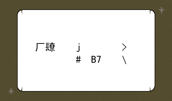 厂长的id叫什么名字?