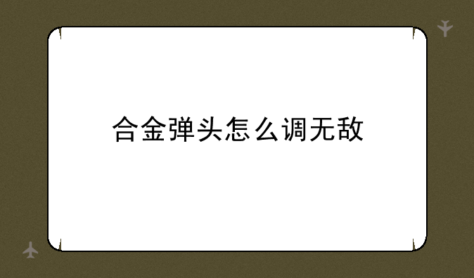 合金弹头怎么调无敌