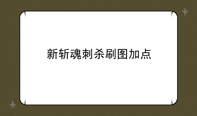 新斩魂刺杀刷图加点