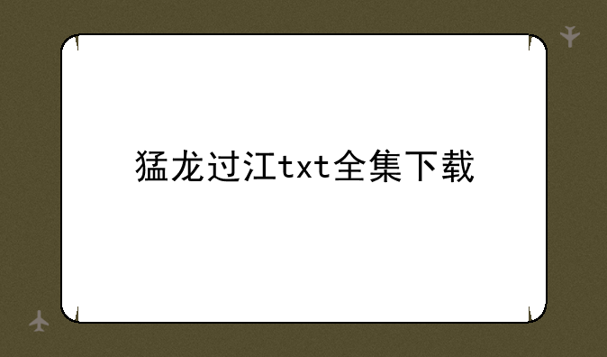 猛龙过江txt全集下载