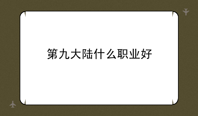 第九大陆什么职业好