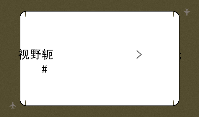 视野软件公司怎么样