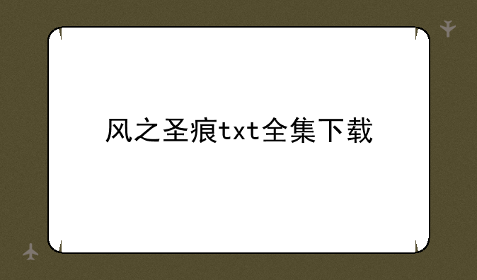 风之圣痕txt全集下载