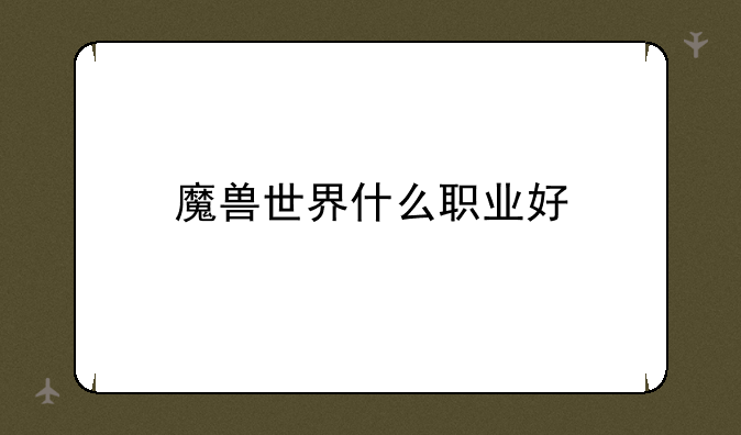 魔兽世界什么职业好