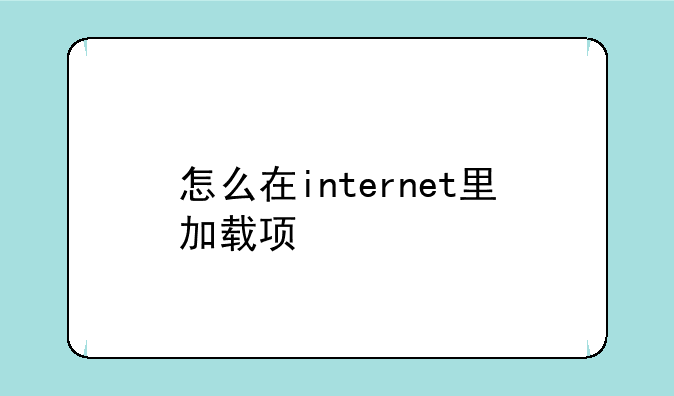 怎么在internet里加载项