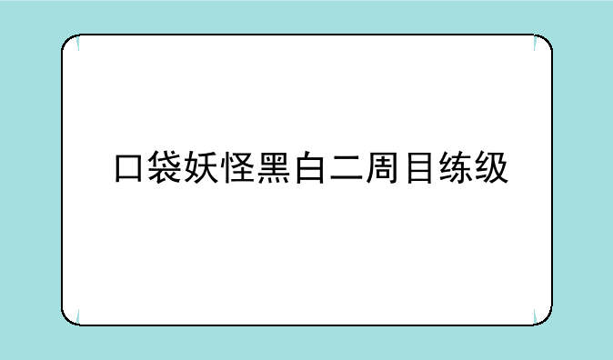 口袋妖怪黑白二周目练级