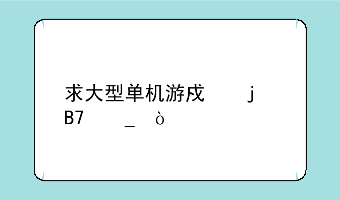 求大型单机游戏的名字？