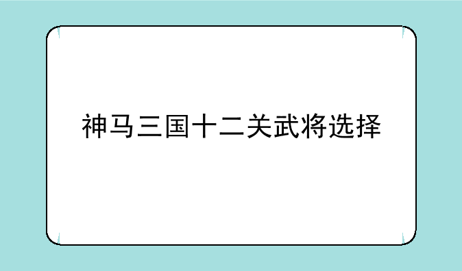 神马三国十二关武将选择
