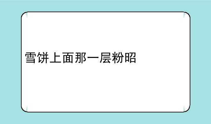 雪饼上面那一层粉是什么