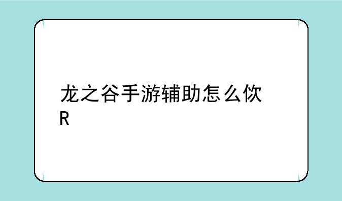 龙之谷手游辅助怎么使用