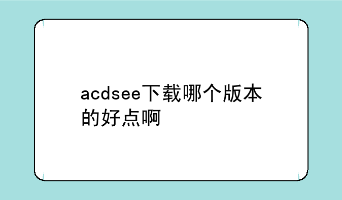 acdsee下载哪个版本的好点啊