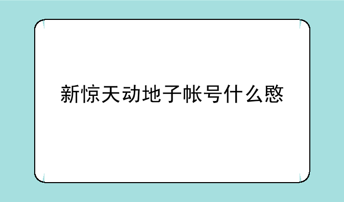 新惊天动地子帐号什么意思