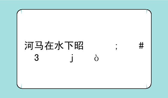 河马在水下是怎么行走的？