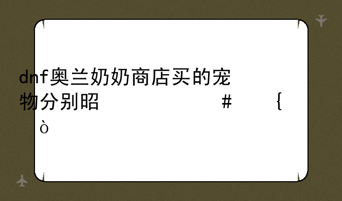 dnf奥兰奶奶商店买的宠物分别是什么属性？