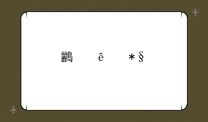 鸟人助手初始化界面问题解决指南