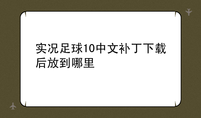 实况足球10中文补丁下载后放到哪里