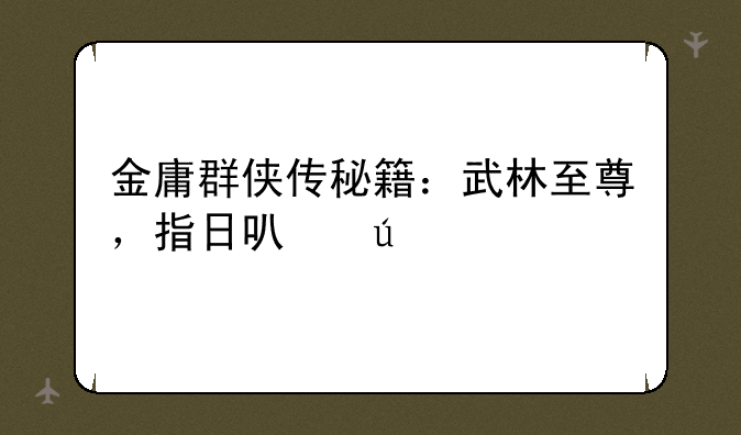 金庸群侠传秘籍：武林至尊，指日可待