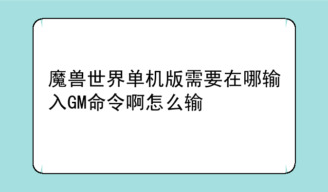 魔兽世界单机版需要在哪输入GM命令啊怎么输