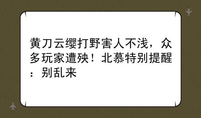黄刀云缨打野害人不浅，众多玩家遭殃！北慕特别提醒：别乱来