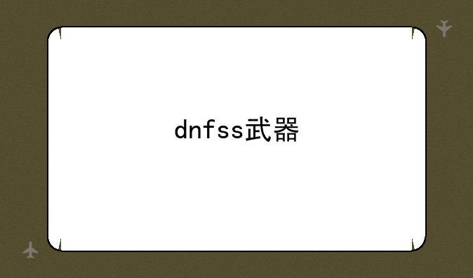 dnfss武器